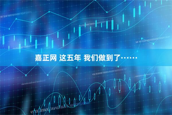 嘉正网 这五年 我们做到了······