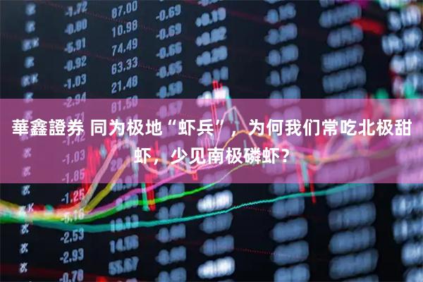 華鑫證券 同为极地“虾兵”，为何我们常吃北极甜虾，少见南极磷虾？