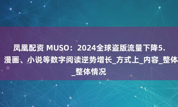 凤凰配资 MUSO：2024全球盗版流量下降5.7%，漫画、小说等数字阅读逆势增长_方式上_内容_整体情况