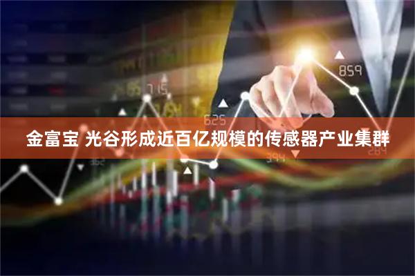 金富宝 光谷形成近百亿规模的传感器产业集群