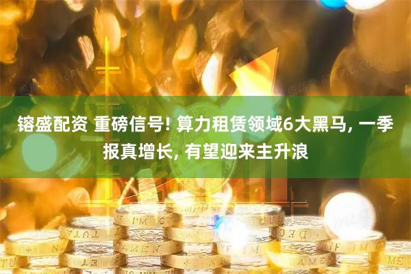 镕盛配资 重磅信号! 算力租赁领域6大黑马, 一季报真增长, 有望迎来主升浪
